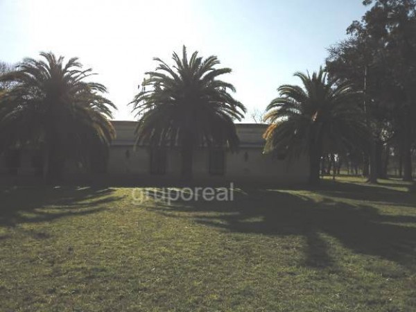 CAMPO 29 has - La mejor ubicación