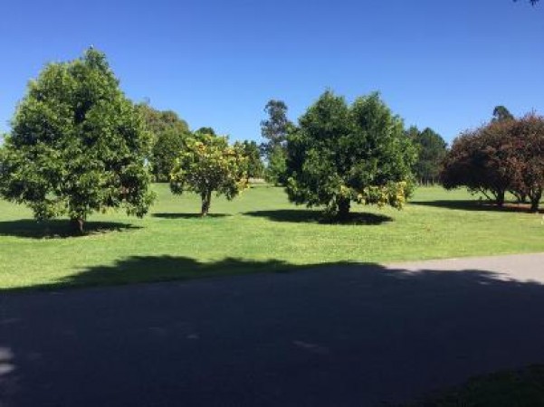 EL OMBÚ - Lote vista al golf