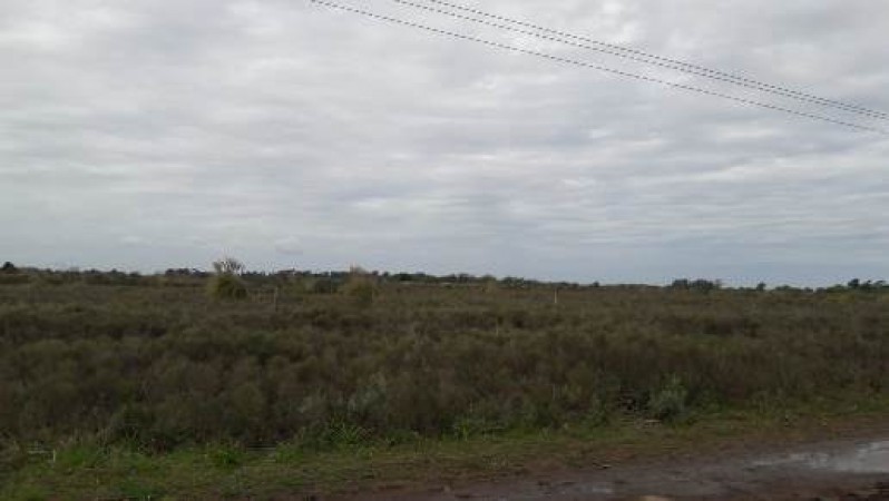 Campo 160 ha o fraccion - Ideal Barrio Privado