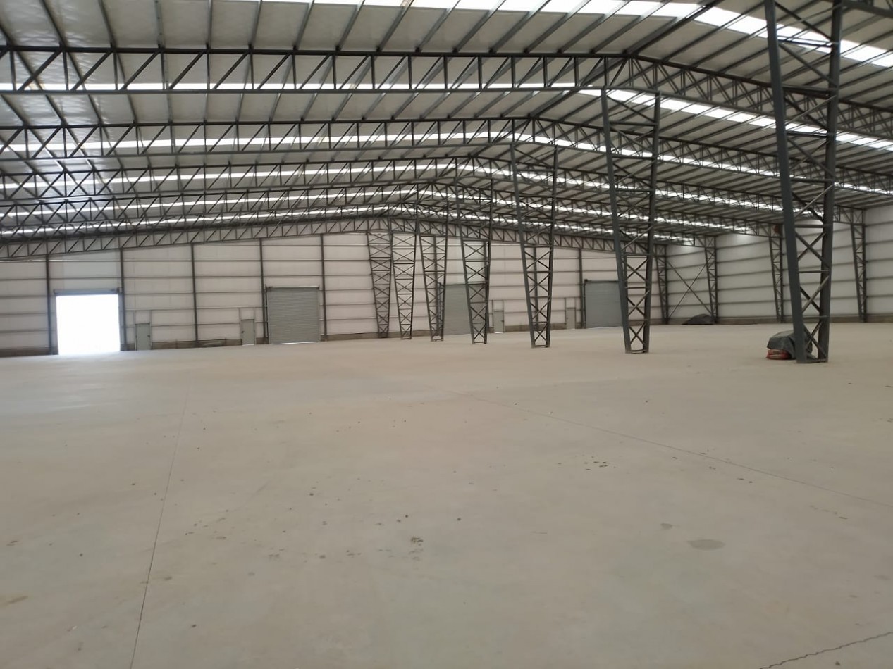 PARQUE INDUSTRIAL SAN VICENTE - Alquiler 2 Naves 5200 m2 c/u