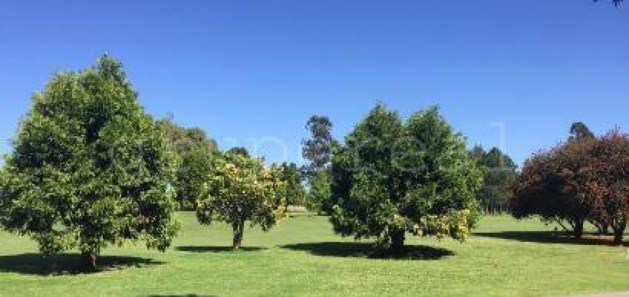 EL OMBU - Excelente lote con vista al golf !!!!