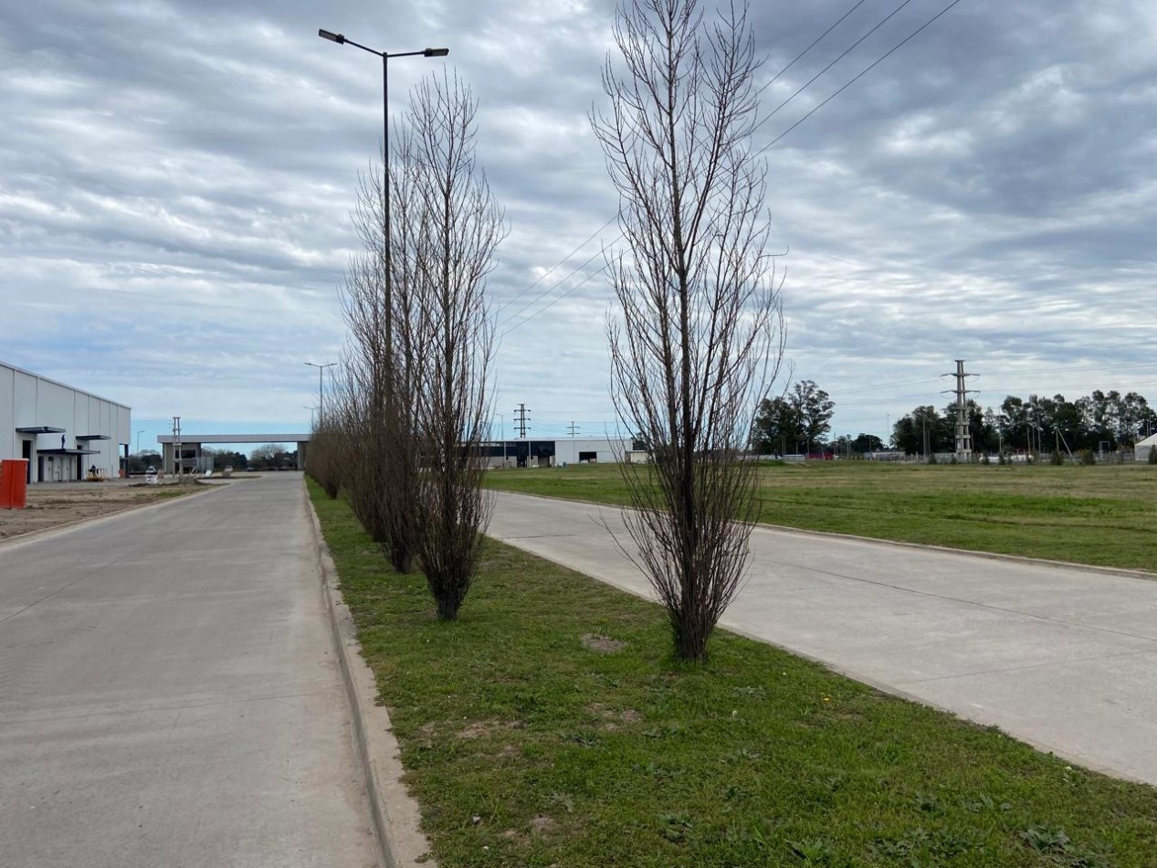 PARQUE INDUSTRIAL SPEGAZZINI - LOTE 2.142 m2