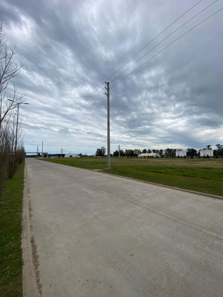 PARQUE INDUSTRIAL SPEGAZZINI - LOTE 2.142 m2